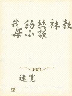 我的丝袜教师美母小说封面