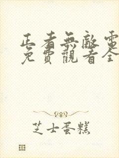 正者无敌电视剧免费观看全集