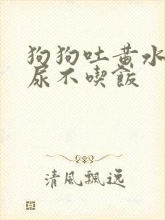 狗狗吐黄水尿黄尿不吃饭