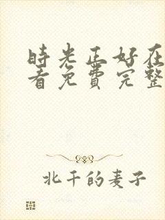 时光正好在线观看免费完整版