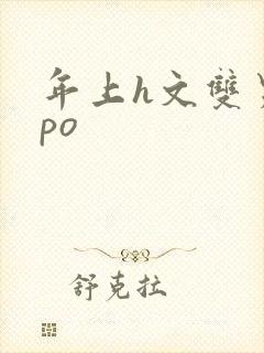 年上h文双男主po