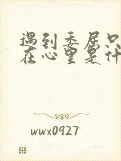 遇到委屈只能藏在心里是什么歌