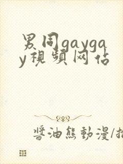 男同gaygay视频网站