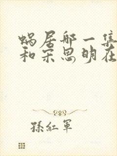 蜗居哪一集海藻和宋思明在一起了