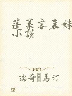 蓬莱客表妹万福小说封面