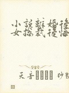 小说离婚后高冷女总裁后悔封面