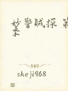 妙警贼探 第六季封面