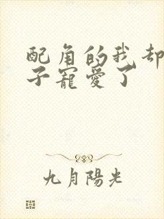 配角的我却被王子宠爱了