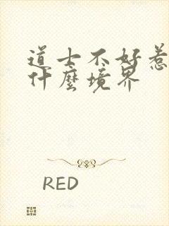 道士不好惹主角什么境界