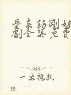 爱来的刚好电视剧全集免费观看