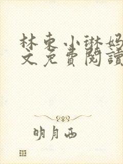 林东小琳妈妈全文免费阅读小说