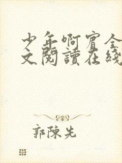 少年啊宾全文全文阅读在线阅读全文