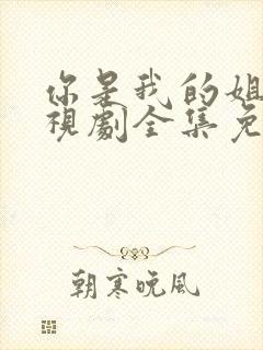 你是我的姐妹电视剧全集免费观看西瓜