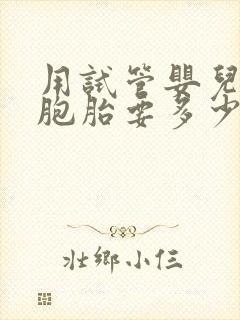 用试管婴儿做双胞胎要多少钱封面