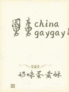 国产china男男gaygay网站