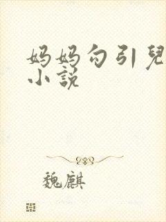 妈妈勾引儿子的小说封面