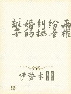 离婚纠纷两个孩子的抚养权如何确定判决封面