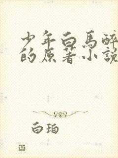 少年白马醉春风的原著小说是什么