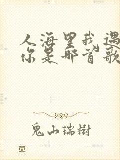 人海里我遇见了你是哪首歌的歌词