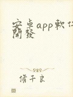 安卓app软件开发