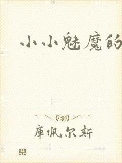 小小魅魔的仆人