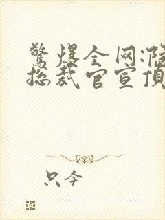 惊爆全网:隐婚总裁官宣顶流娇妻