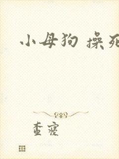 小母狗 操死你