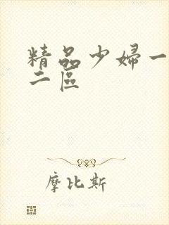 精品少妇一区,二区