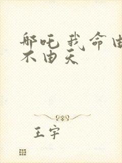 哪吒 我命由我不由天封面