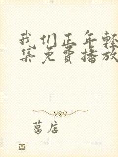 我们正年轻45集免费播放封面