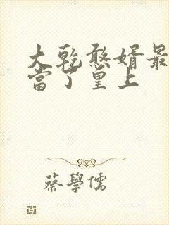 大乾憨婿最后谁当了皇上