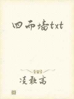四面墙txt封面