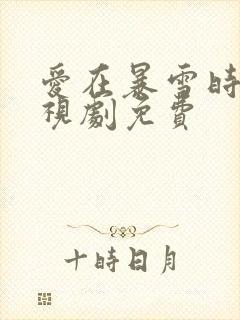 爱在暴雪时分电视剧免费