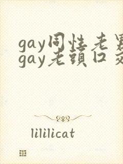 gay同性老男gay老头囗交