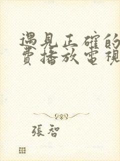 遇见正确的你免费播放电视剧