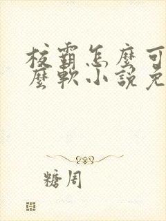 校霸怎么可以这么软小说免费阅读