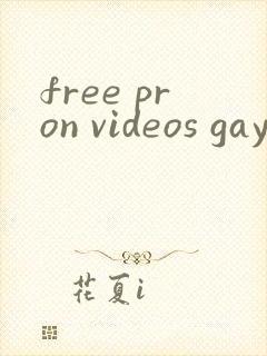 free pron videos gay