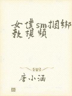 女仆sm捆绑调教视频