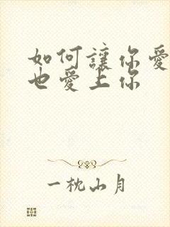 如何让你爱的人也爱上你封面