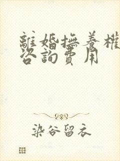 离婚抚养权律师咨询费用