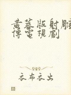 黄蓉版射雕英雄传电视剧封面