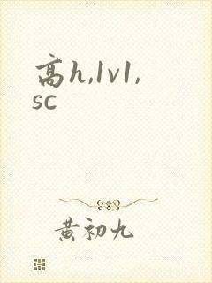高h,1v1,sc