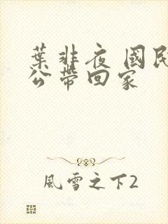 叶非夜 国民老公带回家封面