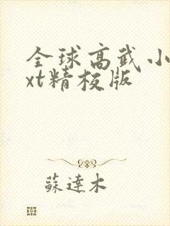 全球高武小说txt精校版