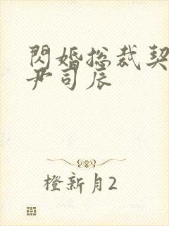 闪婚总裁契约妻尹司辰封面