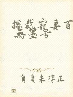 总裁宠妻百分百 无墨兮