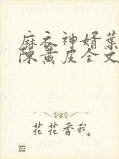 麻衣神婿叶红鱼陈黄皮全文阅读