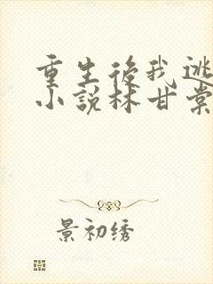 重生后我逃婚了小说林甘棠免费阅读