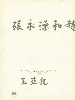 张永德和赵匡胤封面