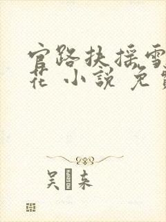 官路扶摇雪路听花 小说 免费